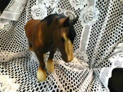 HORSE CLYD 1 A